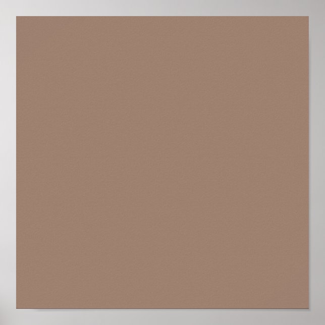 Beaver (fast färg) poster (Framsidan)