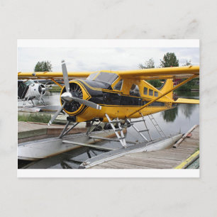 Beaver flyter flygplan, Sjö Huva, Alaska, USA Vykort