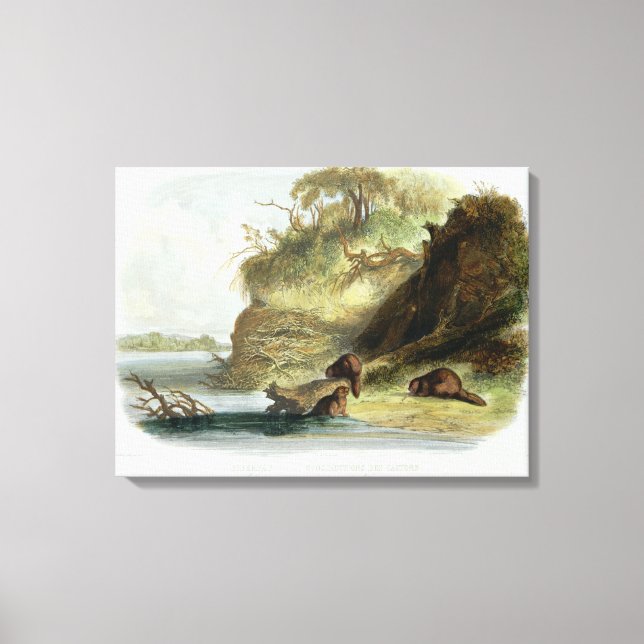 Beaver Hut på Missouri, platta 17 från volym 1 Canvastryck (Framsida)