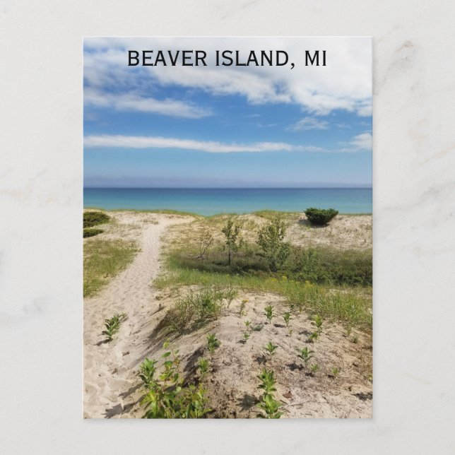 Beaver Island Michigan Beach Travel Vykort (Framsida)