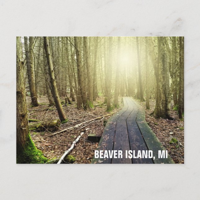 Beaver Island Michigan Hiking Trail Travel Vykort (Framsida)
