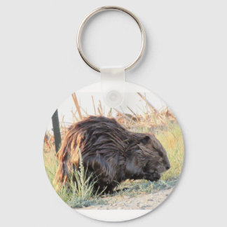 Beaver Keychain Nyckelring