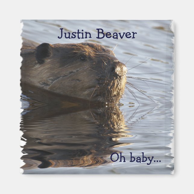 Beaver Magnets Magnet (Framsidan)