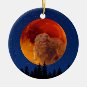 Beaver Måne i november Julgransprydnad Keramik
