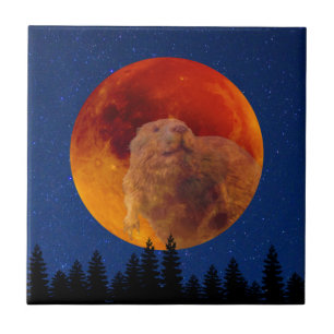 Beaver Måne i november Kakelplatta