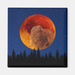 Beaver Måne i november Magnet