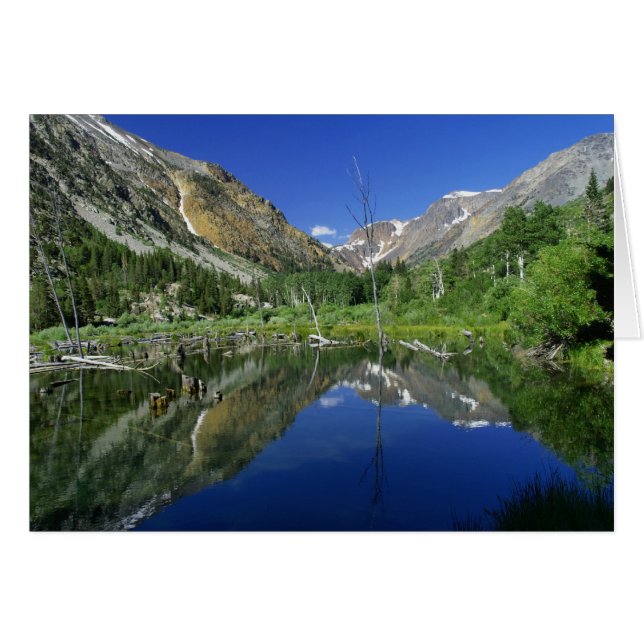 Beaver Pond, Lundy canyon OBS Kort (Framsidan Horizontal)