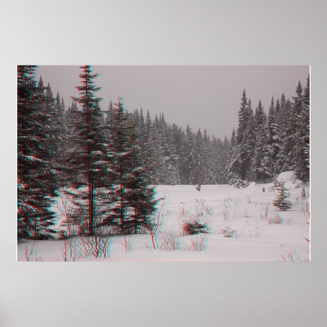 Beaver Ponds Poster (Framsidan)