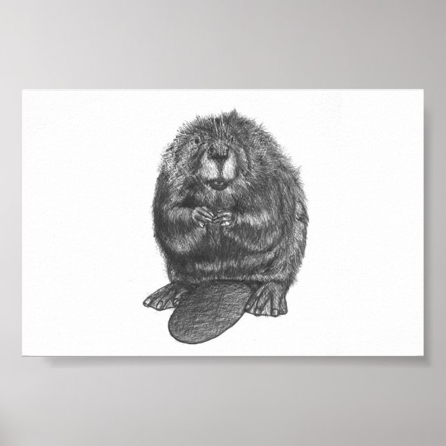 Beaver Poster (Framsidan)