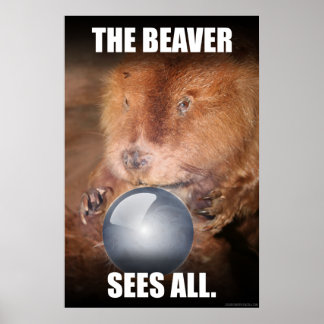 Beaver ser alla. poster