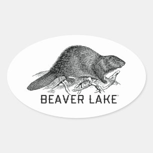 Beaver Sjö Ovalt Klistermärke