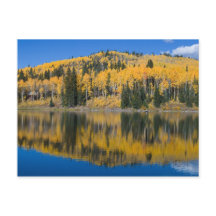 Beaver Sjö på hösten