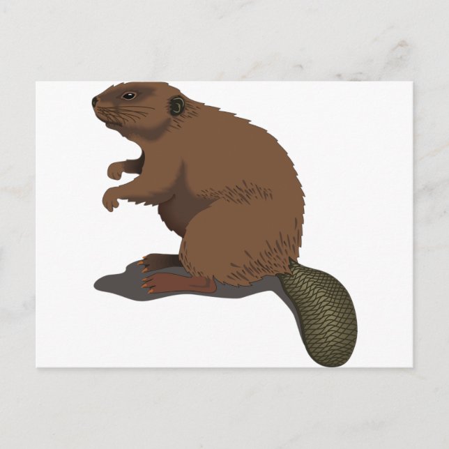 Beaver Vykort (Framsida)