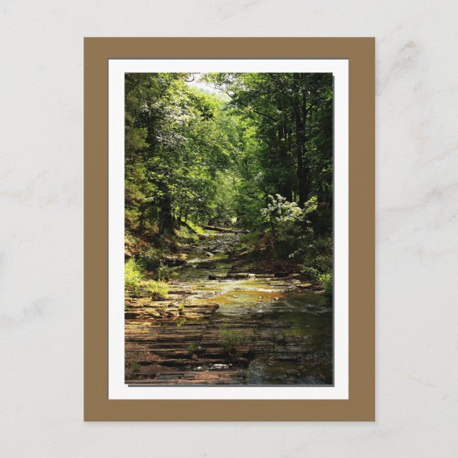 Beavers Bend State Park-fotovykort Vykort (Framsida)