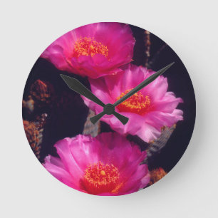 Beavertail Cactus Flowers 2 Rund Klocka