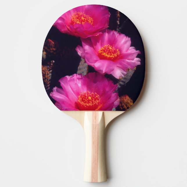 Beavertail Kactus Blommor 2 Pingisracket (Framsidan)