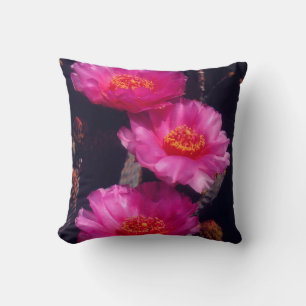 Beavertail Kaktus Blommor 2 Kudde