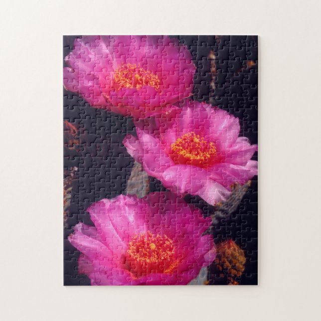 Beavertail Kaktus Blommor 2 Pussel (Vertikal)