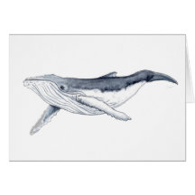 Bebe ballena yubarta