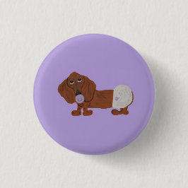 Bebis Dachshund Knapp