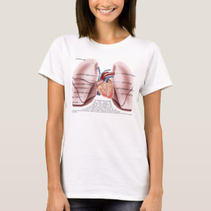 Bebis för bröstkorganatomidamer - dockaskjorta tee shirt