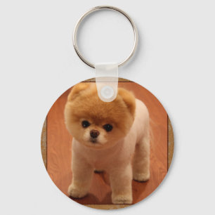 Bebis för valp för Pomeranian hundhusdjur liten Nyckelring