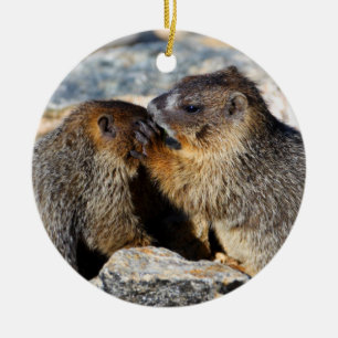 bebismarmots julgransprydnad keramik