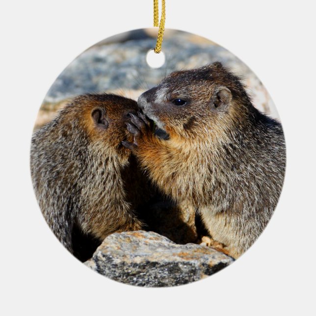 bebismarmots julgransprydnad keramik (Framsidan)