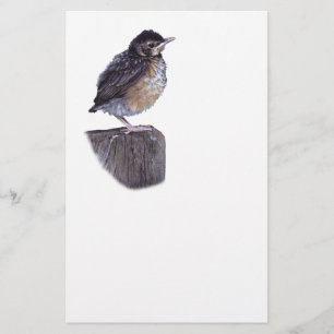 bebisrobin brevpapper