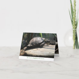 bebissköldpaddanotecard (uppmuntran) kort