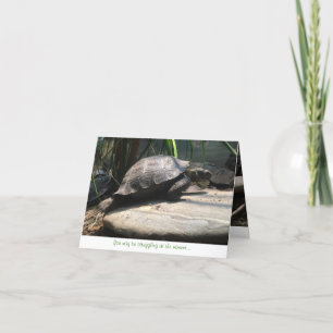 bebissköldpaddanotecard (uppmuntran) kort