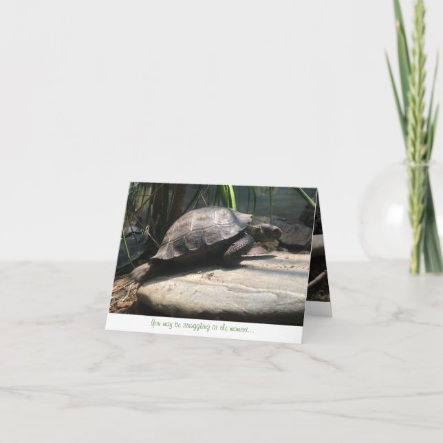 bebissköldpaddanotecard (uppmuntran) kort (Framsida)