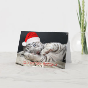 bebisvitbengal tiger med julhatten helgkort