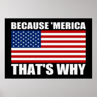BECAUSE 'MERICA THAT'S WHY US Flag Poster (small)