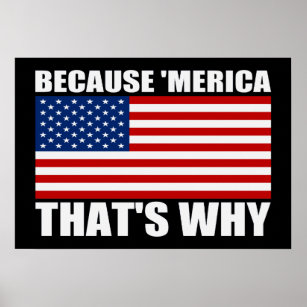 BECAUSE 'MERICA THAT'S WHY US Flag Poster (small)
