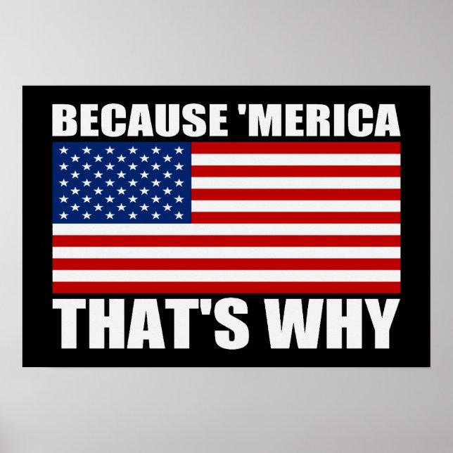 BECAUSE 'MERICA THAT'S WHY US Flag Poster (small) (Framsidan)