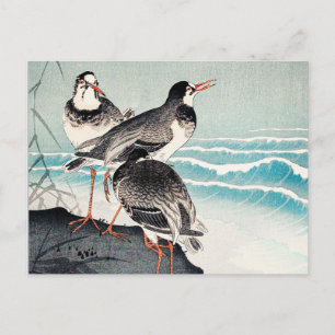 Beckasiner vid stranden, finkonst av Ohara Koson Vykort