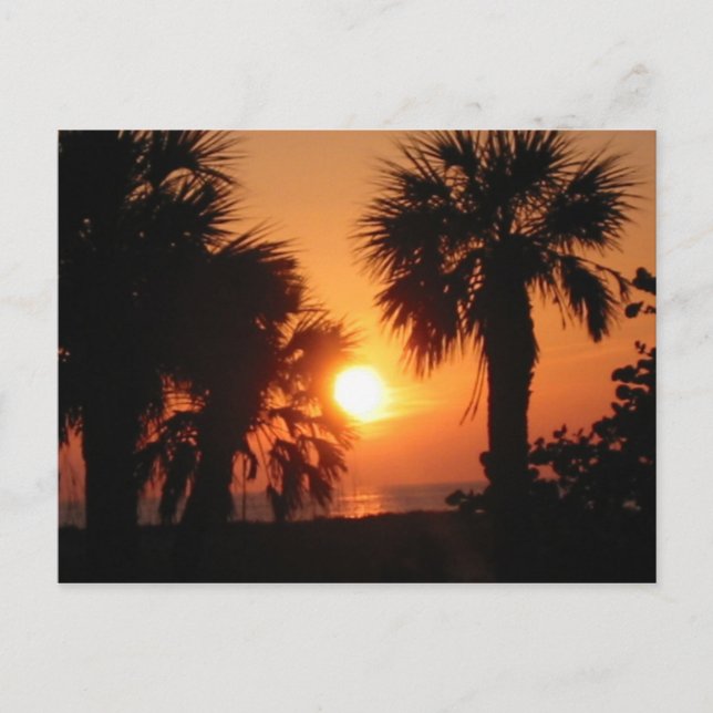 BECKYS HANDFLATAN TRÄD 4-2-02 VYKORT (Framsida)