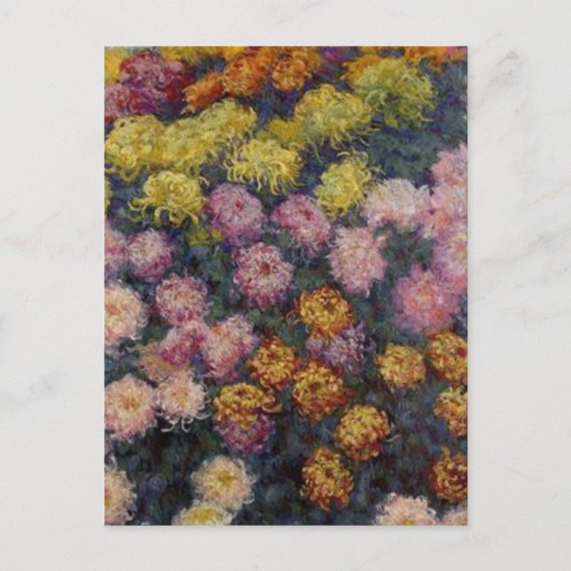 Bed av Chrysanthemums av Claude Monet Postcard Vykort (Framsida)