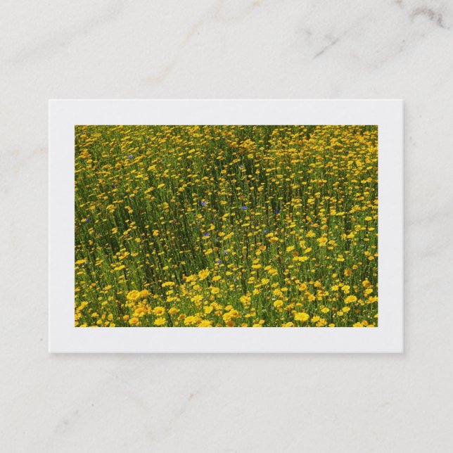 Bed of Gult Daisys (Borderade) Visitkort (Framsida)