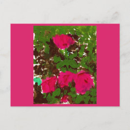 Bed of Roses  Vykort