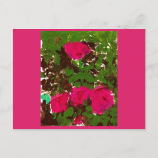 Bed of Roses  Vykort