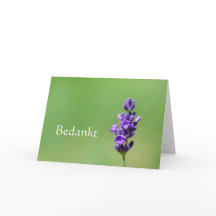 Bedankt - Tack på nederländska med lavender-blomma