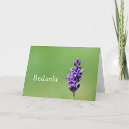 Bedankt - Tack på nederländska med lavender-blomma Kort