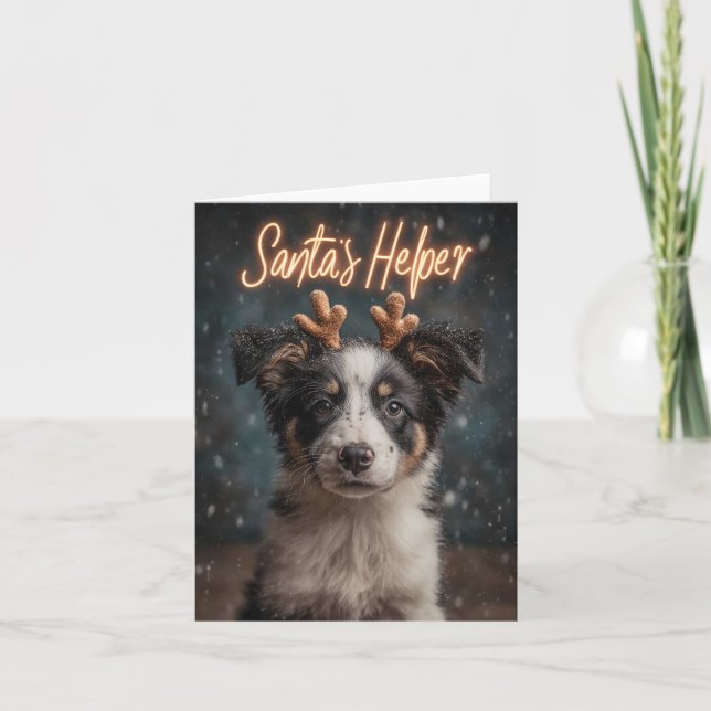 Bedårande Border Collie-valp som tomtens hjälpreda Helgkort (Framsida)