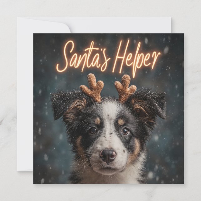 Bedårande Border Collie-valp som tomtens hjälpreda Julkort (Framsida)