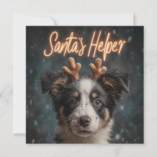 Bedårande Border Collie-valp som tomtens hjälpreda Julkort