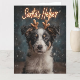 Bedårande Border Collie-valp som tomtens hjälpreda Kort