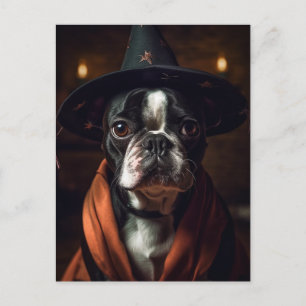 Bedårande Boston Terrier Häxa Vykort