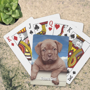 Bedårande Brun Valp Hund Fotograf Casinokort